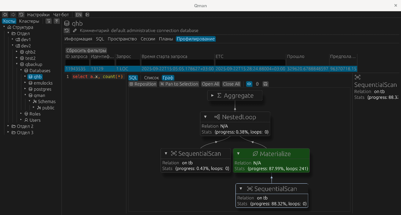 Profiling Long Queries