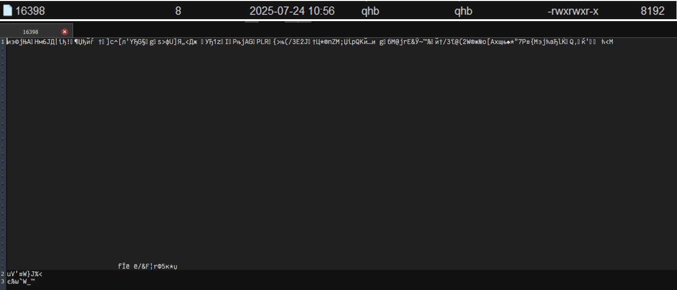 checking_the_encryption