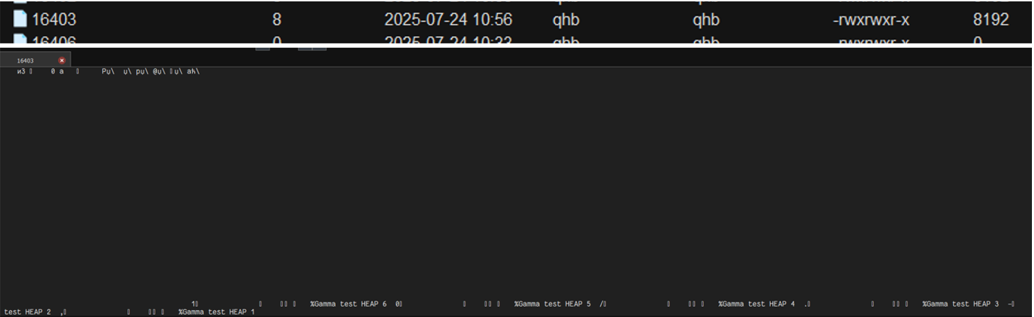 checking_the_encryption_2